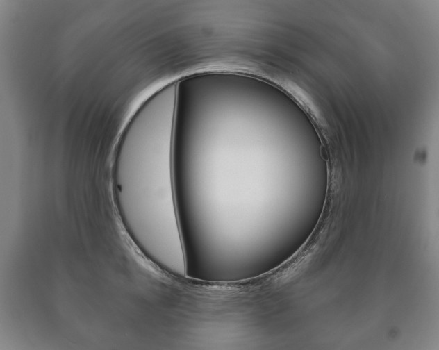 X0000090900854200707301010