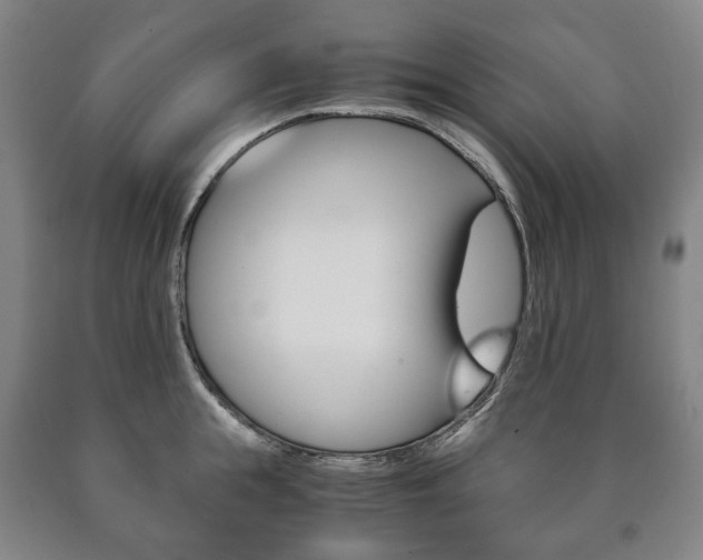 X0000090900855200707301010