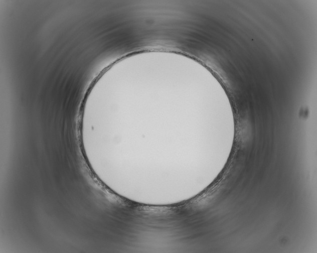 X0000090900856200707301010