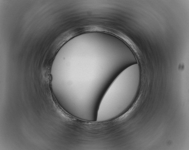 X0000090900857200707301010