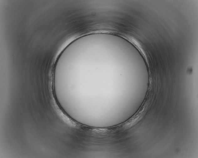 X0000090900859200707301010