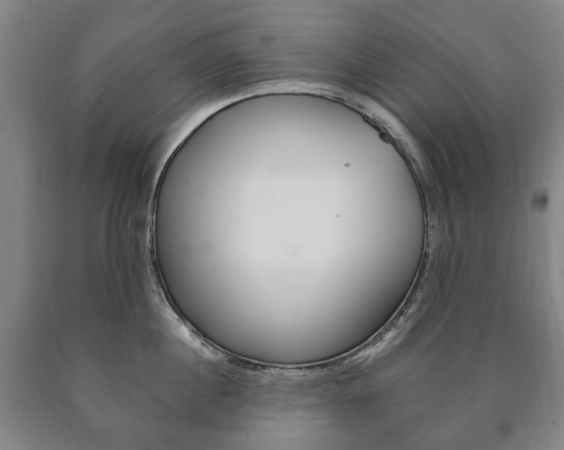 X0000090900860200707301010