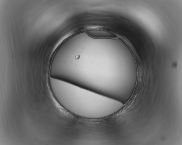 X0000090900861200707301010