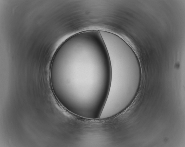 X0000090900862200707301010