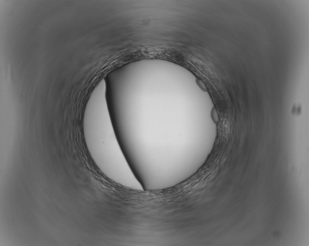 X0000090900865200707301009