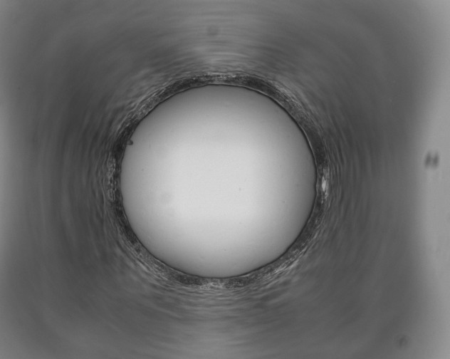 X0000090900867200707301009