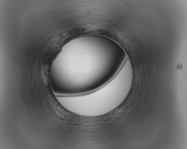 X0000090900868200707301009