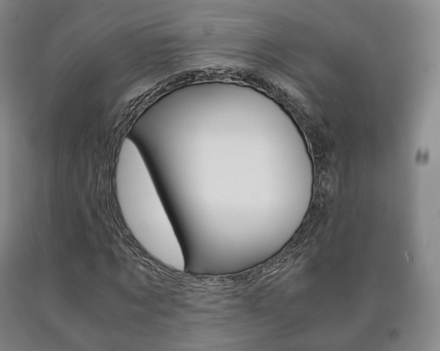X0000090900869200707301009