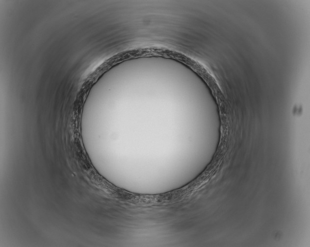 X0000090900871200707301009