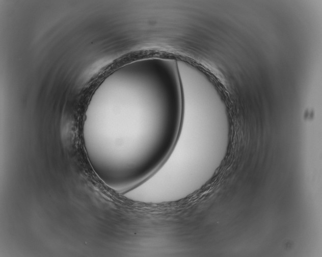 X0000090900872200707301009