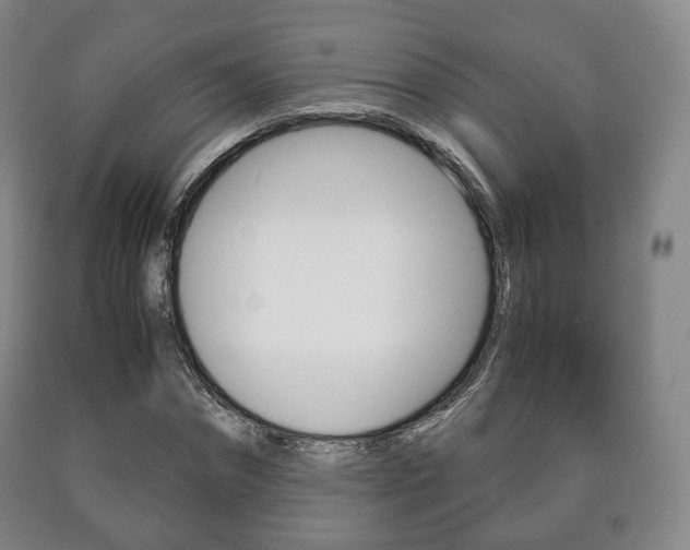 X0000090900874200707301009