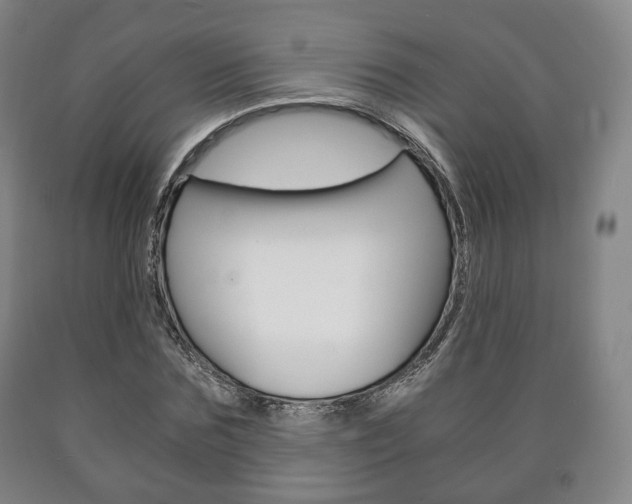 X0000090900875200707301009