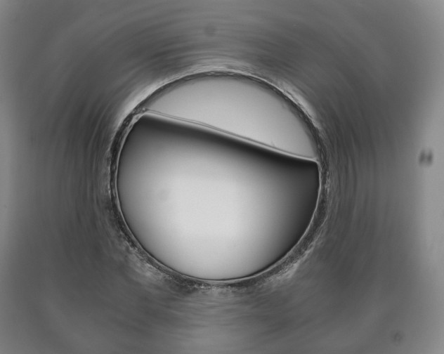 X0000090900877200707301009
