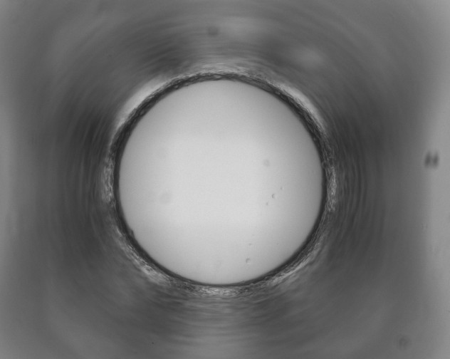 X0000090900878200707301009