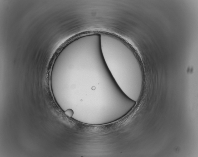 X0000090900879200707301009