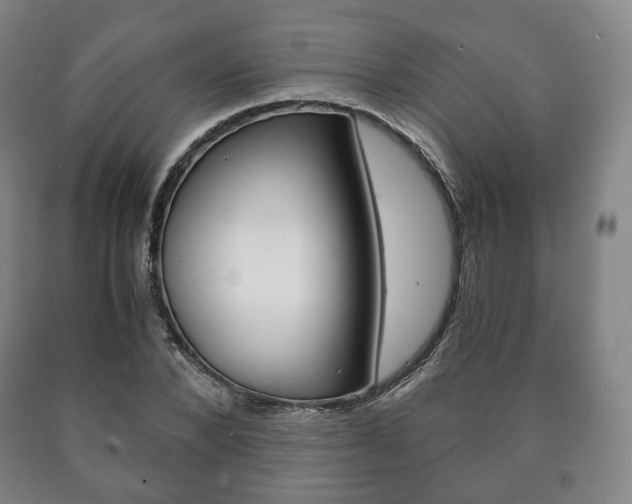 X0000090900880200707301009