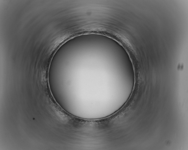 X0000090900881200707301009