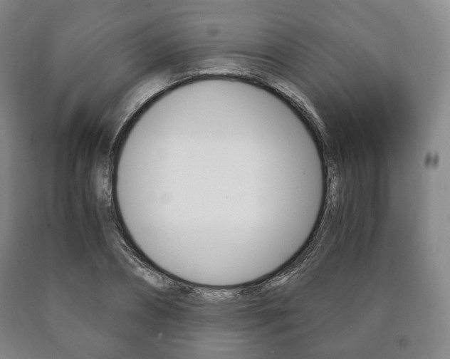 X0000090900882200707301009