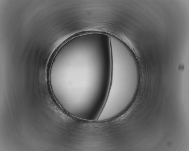 X0000090900884200707301009