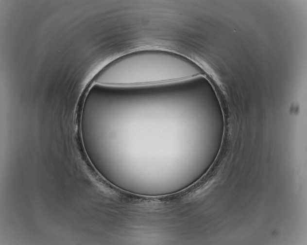 X0000090900885200707301009