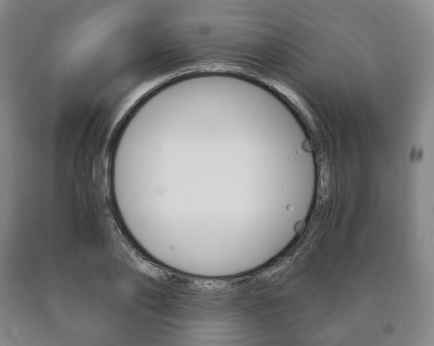 X0000090900886200707301009