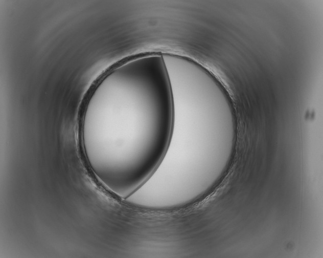 X0000090900888200707301009