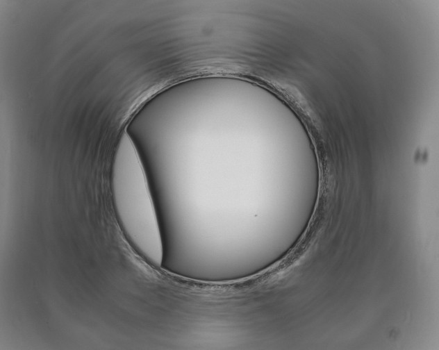 X0000090900889200707301009