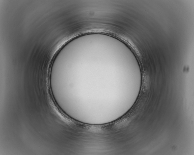 X0000090900890200707301009
