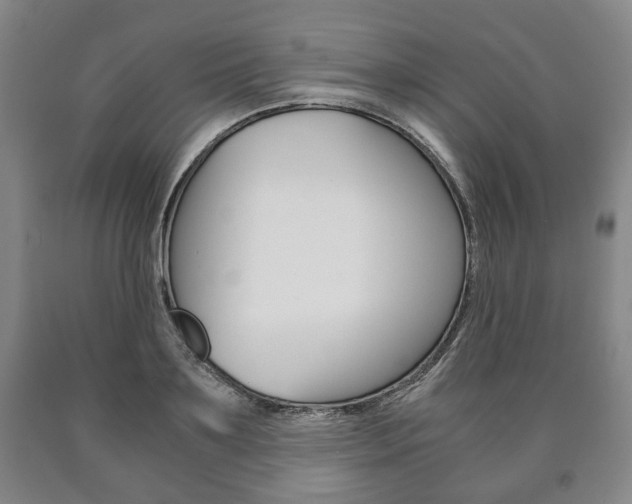 X0000090900891200707301009