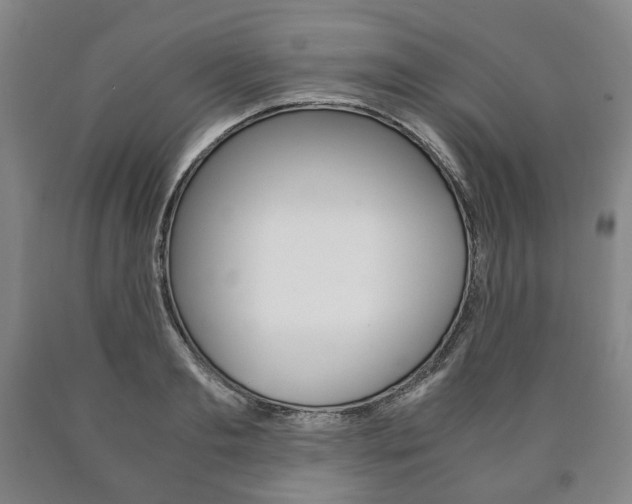 X0000090900893200707301009