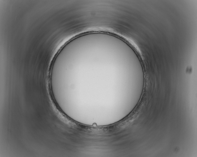 X0000090900895200707301009