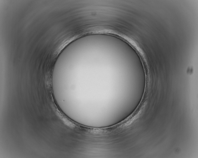 X0000090900897200707301009