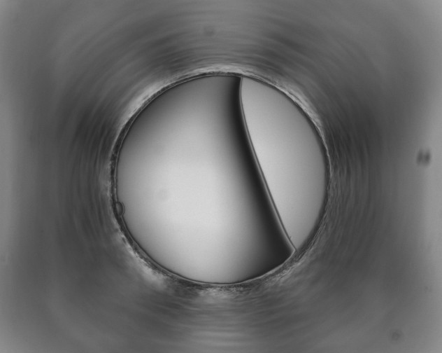 X0000090900898200707301009