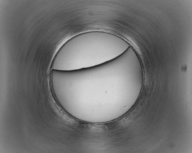 X0000090900899200707301009
