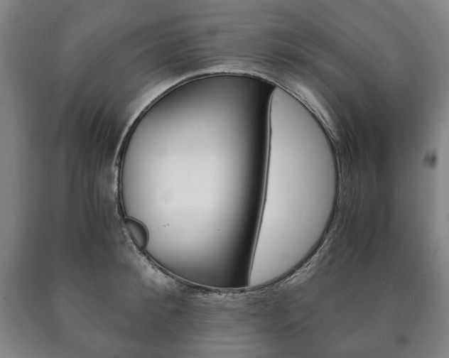 X0000090900900200707301009