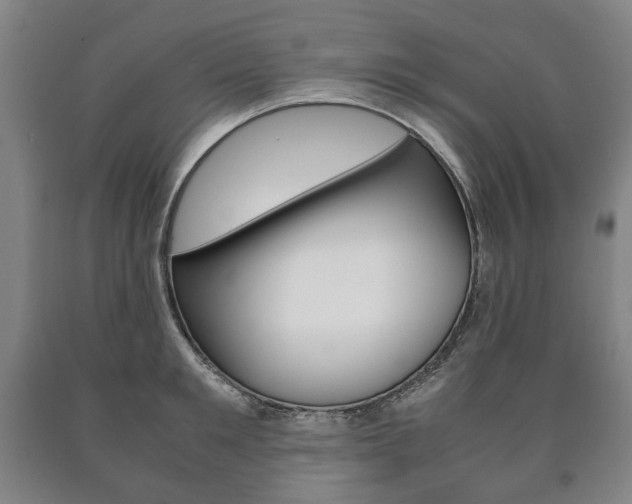X0000090900901200707301009