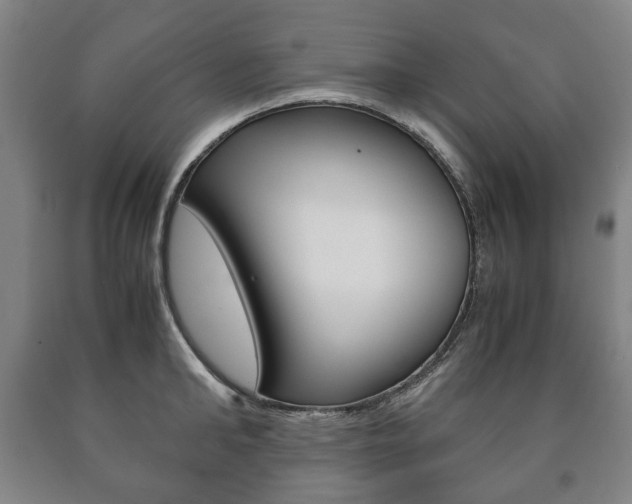 X0000090900902200707301009