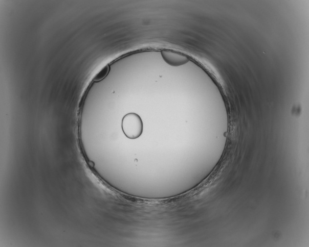 X0000090900903200707301009