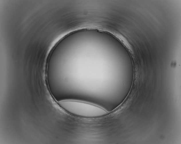 X0000090900904200707301009