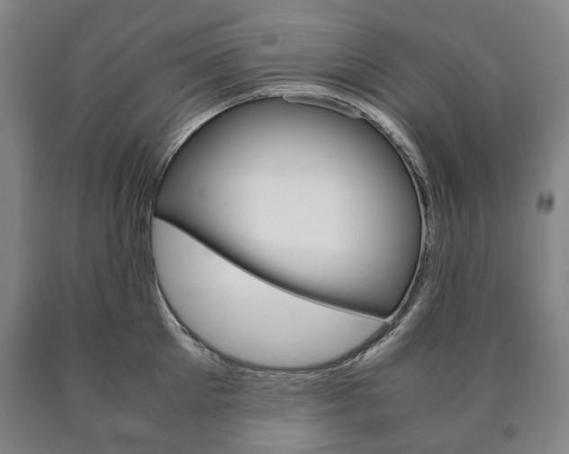 X0000090900905200707301009