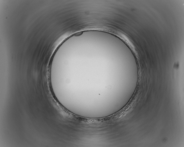 X0000090900907200707301009
