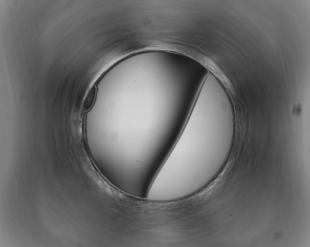 X0000090900908200707301009