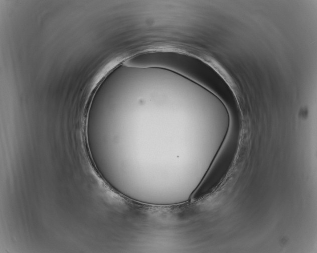 X0000090900909200707301009