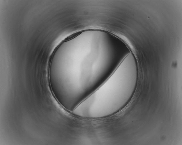 X0000090900910200707301009