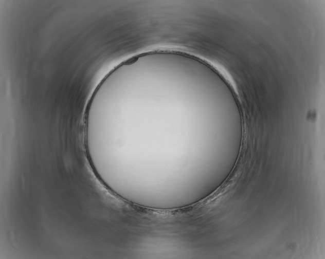X0000090900911200707301009