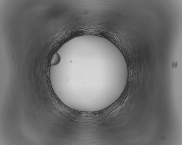 X0000090900913200707301008