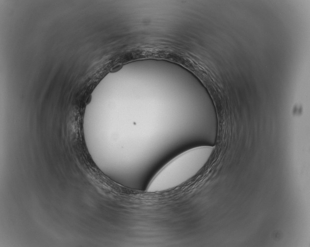 X0000090900914200707301008