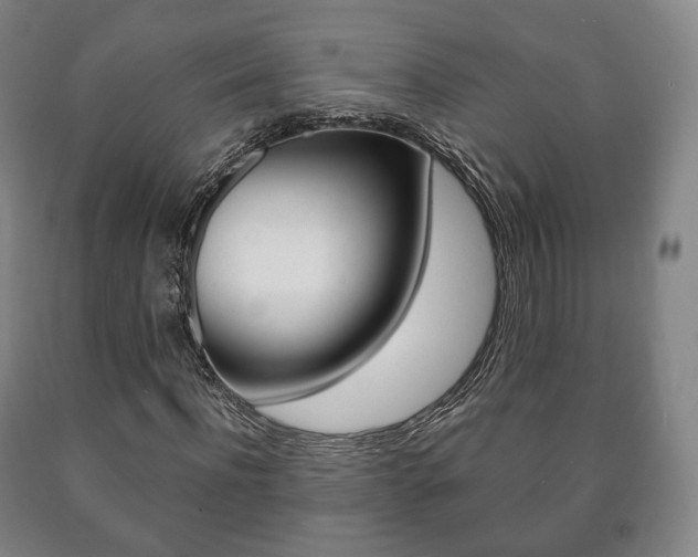 X0000090900916200707301008