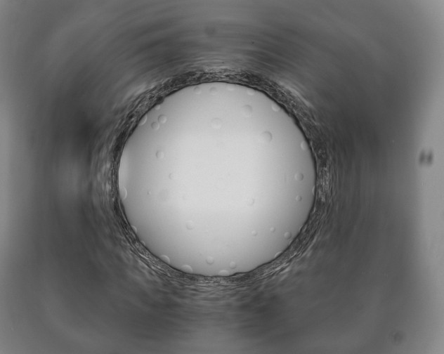 X0000090900917200707301008
