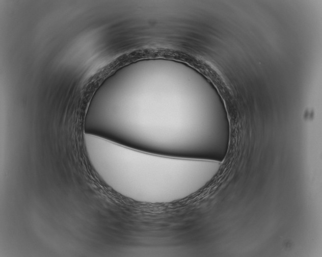 X0000090900919200707301008